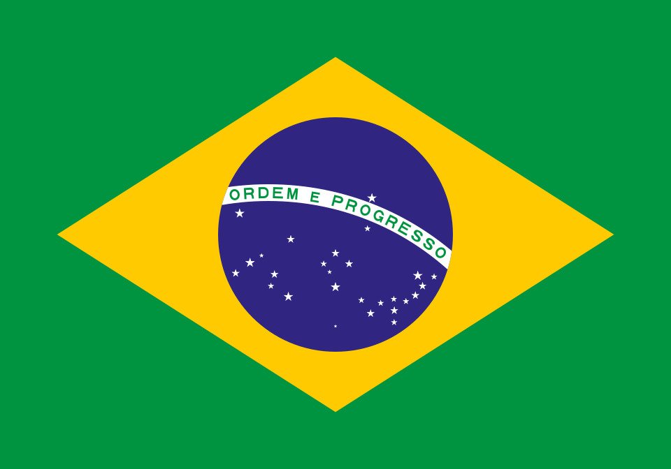 Portugués de negocios